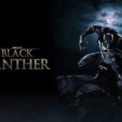 79 Black Panther