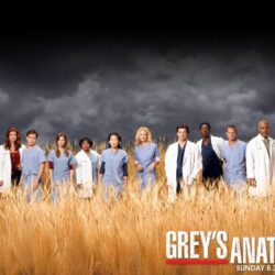 14 best ideas about Grey’s Anatomy