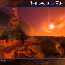 Halo 2 Wallpapers for Iphone