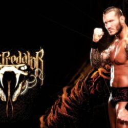 WWE Randy Orton Wallpapers HD Pictures