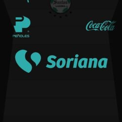 Club Santos Laguna 17