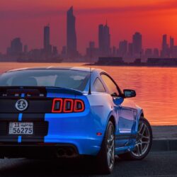 Shelby GT500, Ford USA, Car, Ford Mustang Shelby, Sunrise, Kuwait