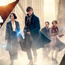 Fantastic Beasts and Where to Find Them Computer Wallpapers