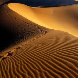Footprints on sand dunes free desktop backgrounds