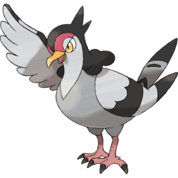 Pictures: Tranquill Pokemon,