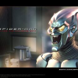 Wallpapers Desktop Green Goblin Spider Man Movie 800 X 600 99 Kb