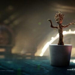 Guardians Of The Galaxy Baby Groot Wallpapers