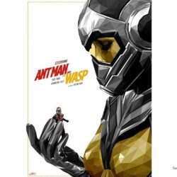 Ant Man and the Wasp Movie Wallpapers