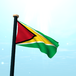 Guyana Flag 3D Free Wallpapers