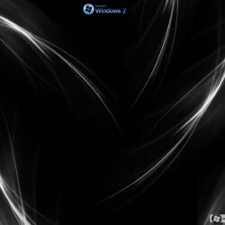 Download Cool Black And White Line Abstract Wallpapers