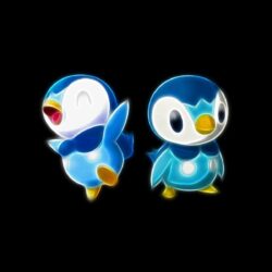 24 Piplup