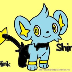 Pokemon Shinx by SonictheHedgefox