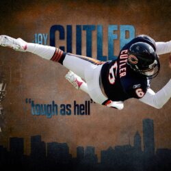 Free Chicago Bears wallpapers wallpapers