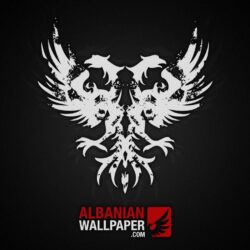 Albanian Eagle Inkblot Grunge wallpapers