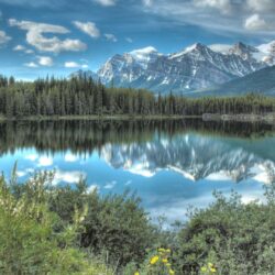 Download 1080p Canada Wallpapers: The Home Of The Grizzly Bear