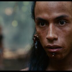 Apocalypto HD Wallpapers