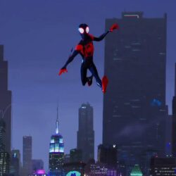 Spiderman Into The Spider Verse Animated Movie HQ Desktop Wallpapers