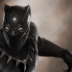 Black Panther, Captain Marvel films confirmed in major Marvel