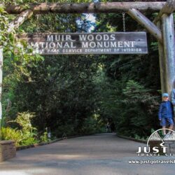 Just Go to Muir Woods National Monument