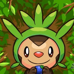 Photo Collection Chespin Pokemon Wallpapers Hd