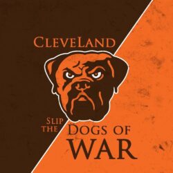 Cleveland Browns Wallpapers WIdescreen HD
