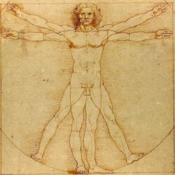 Vitruvian Man Leonardo Da Vinci Fresh New Hd Wallpapers [Your Popular