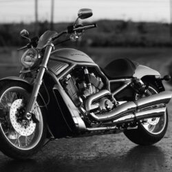 Harley Davidson Wallpapers HD