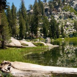 Secluded Pond at Sequoia National Park Desktop Wallpapers