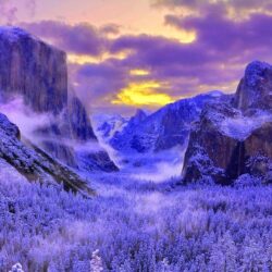 55 Yosemite National Park HD Wallpapers