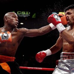 Floyd mayweather knockout wallpapers – acfm