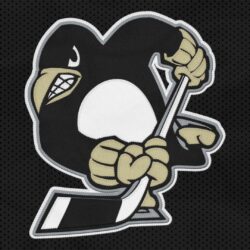 Pittsburgh Penguins wallpapers