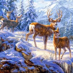 Gathering Of Deer wallpapers