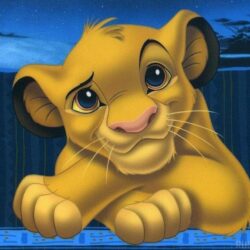 The Lion King Cartoon HD Wallpapers for PC