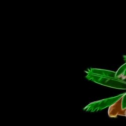 Download the Tropius Wallpaper, Tropius iPhone Wallpaper, Tropius