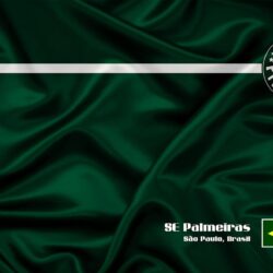 Palmeiras Logo and HQ Wallpapers