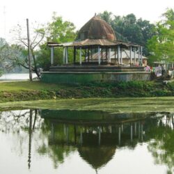 bangladesh pond