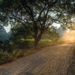 Download wallpapers road, light, way, sun, trees
