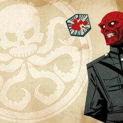 Captain America Red Skull Hydra HD wallpapers