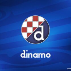 Gnk Dinamo Zagreb Wallpapers: Players, Teams, Leagues Wallpapers