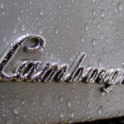 Logos For > Lamborghini Logo Wallpapers