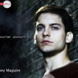 Free Tobey Maguire Wallpapers Photos Pictures Image Free