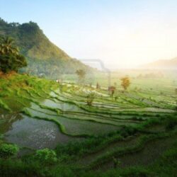Bali Nature Wallpapers compilation HD ~ Nature Wallpapers