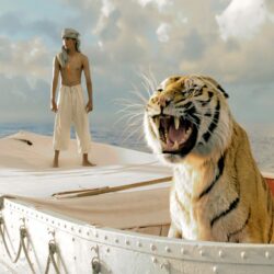 Life of Pi Wallpapers