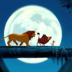the lion king wallpapers HD – wallpapermonkey