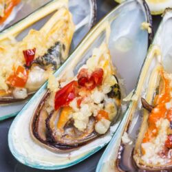 Download wallpapers oysters, mussels, seafood, fish dishes