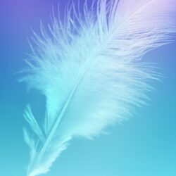 Feather Wallpapers Galaxy A9 Pro