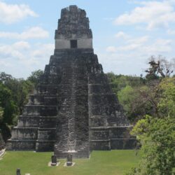 Tikal Great Plaza Tikal Guatemala Wallpapers