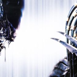 Wallpapers of Alien vs Predator in high definition