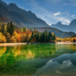 trees, reflection, beautiful, lakeside beach, autumn, forest