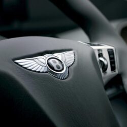 Bentley Logo On Steering Wallpapers